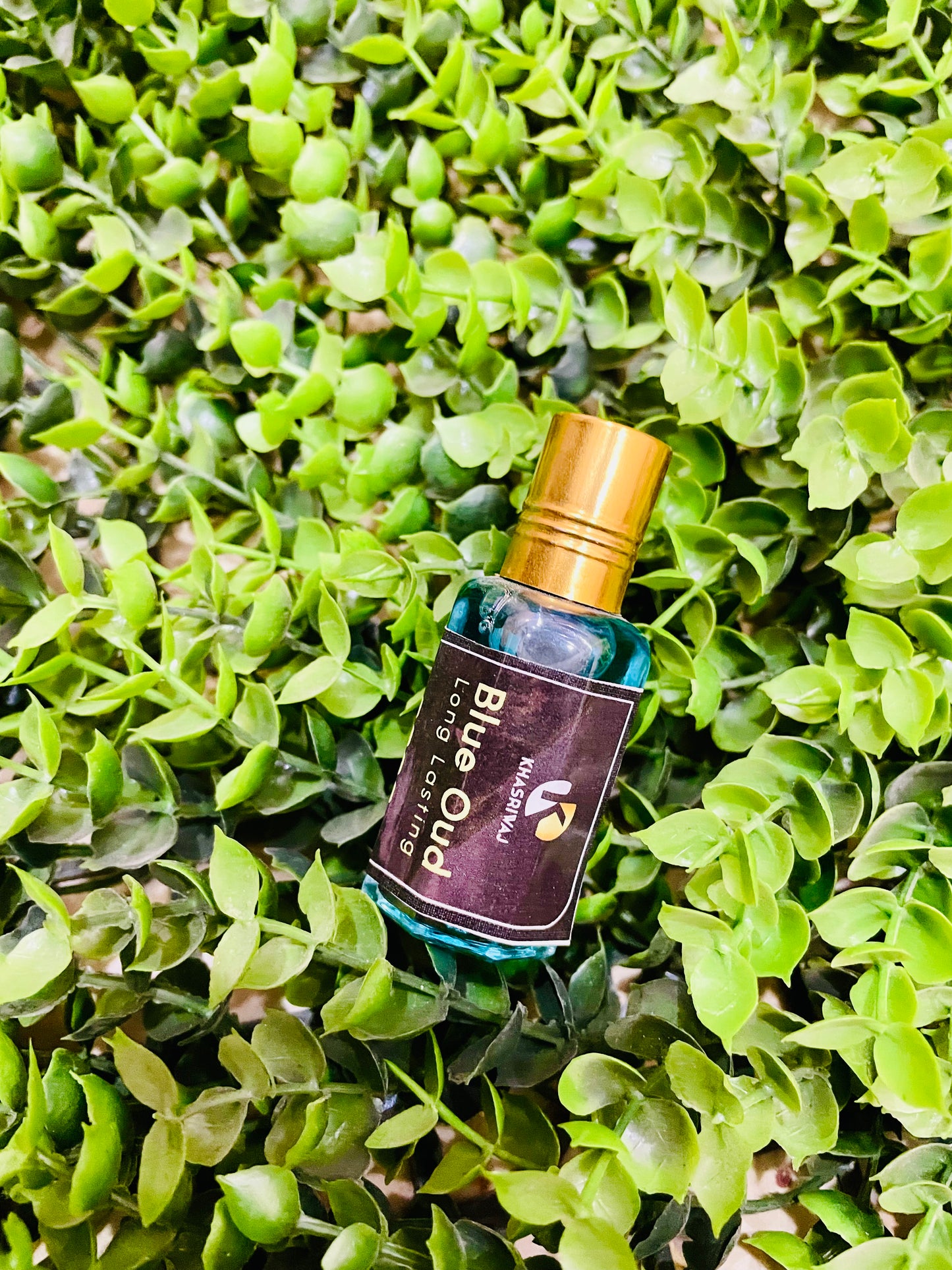 Golden Fragrance Deal – 5 Premium Scents (50% OFF)