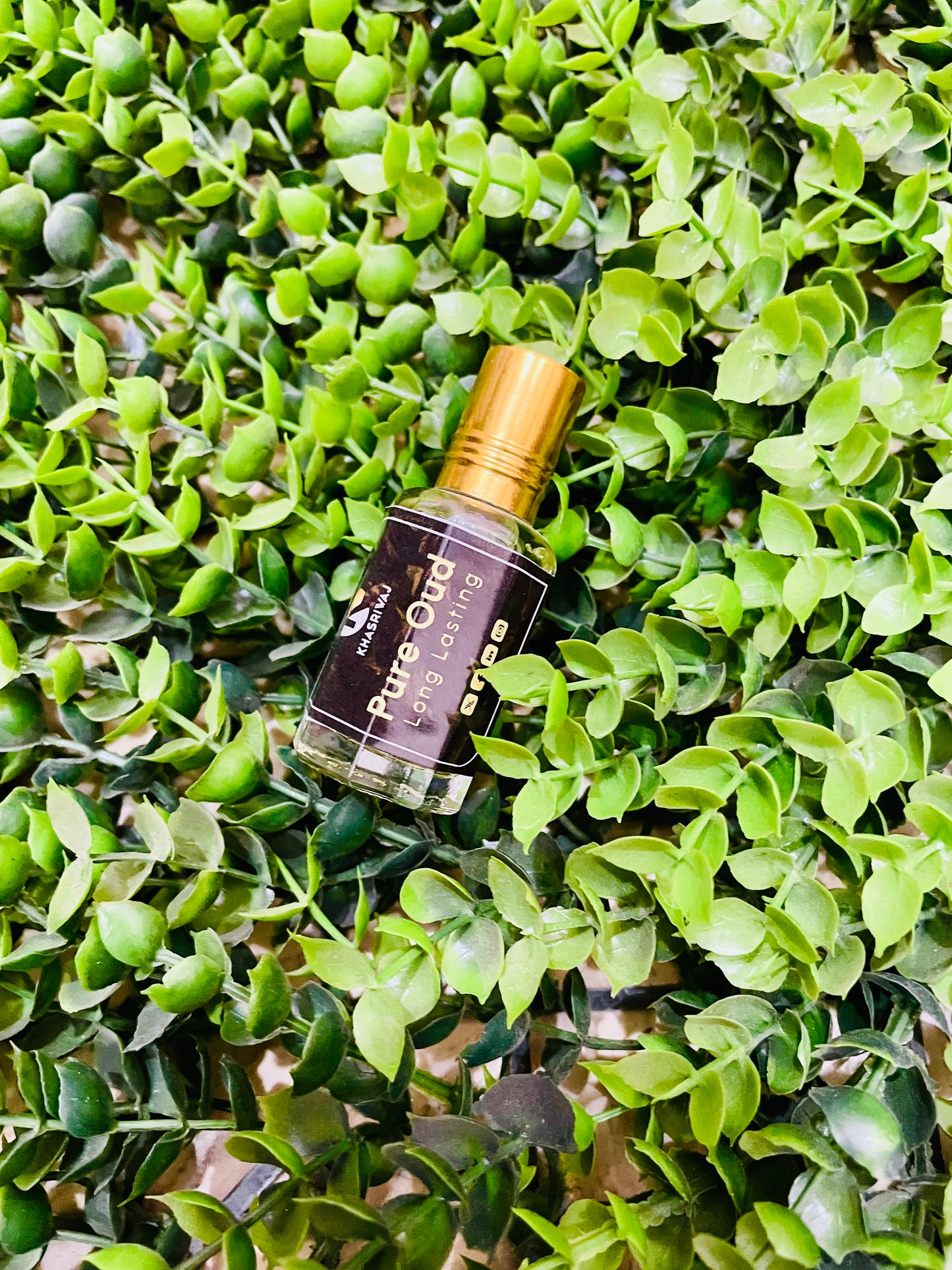 Golden Fragrance Deal – 5 Premium Scents (50% OFF)